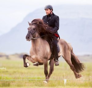 تختلف التجربة عن الجولات السياحية المعتادة