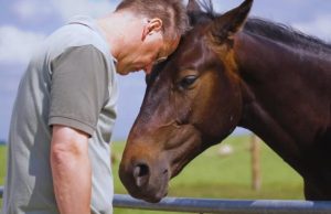 يوم 1 مايو سوف يخصص بالكامل لتجربة العلاج بالخيول