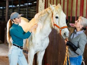 مساعدة المسنين من خلال العلاج بالخيول