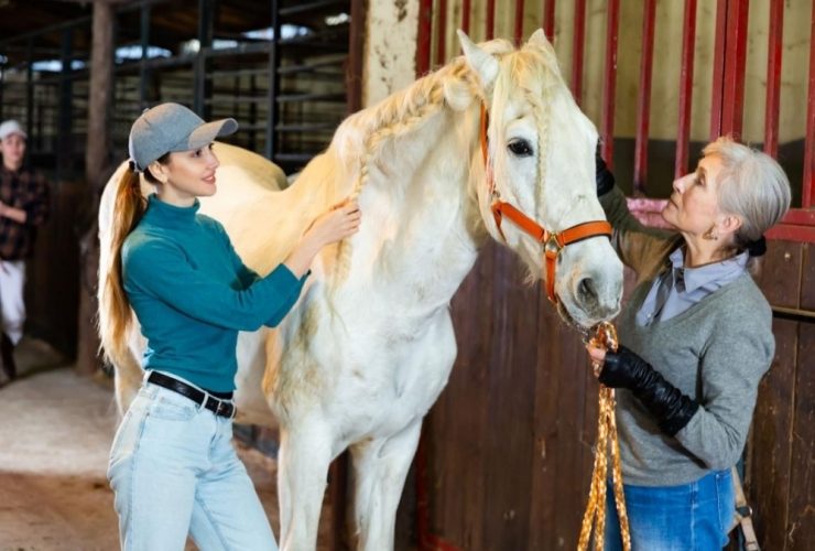 مساعدة المسنين من خلال العلاج بالخيول
