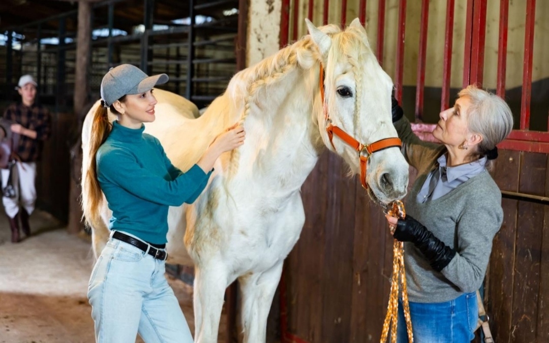 مساعدة المسنين من خلال العلاج بالخيول