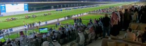 وقّع نادي راشد للفروسية وسباق الخيل اتفاقية شراكة مع شركة هارف، بهدف تطوير خدمات الضيافة داخل مرافق النادي