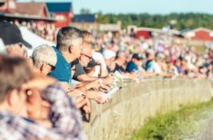 اندفع هذا الحصان فجأة نحو الحضور، ما تسبب بإيجاد حالة من الفوضى