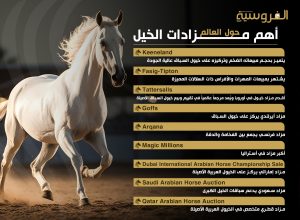 أهم مزادات الخيل حول العالم