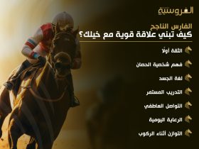 كيف تبني علاقة قوية مع خيلك