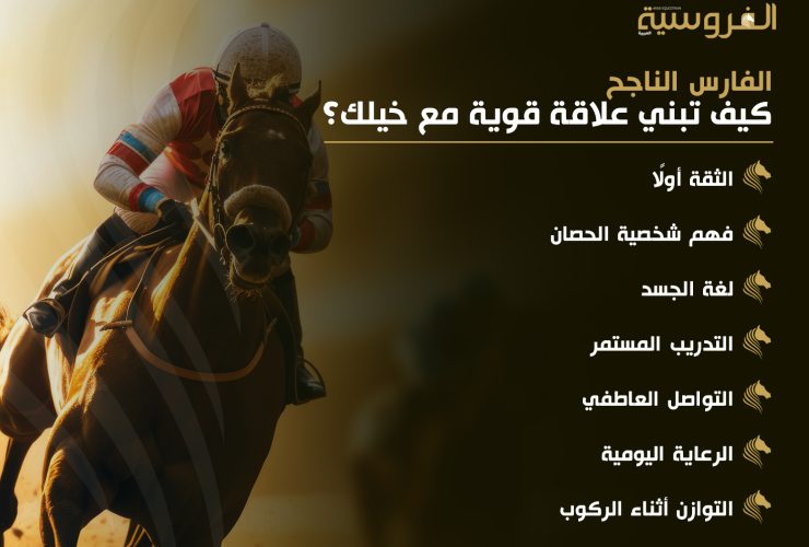 كيف تبني علاقة قوية مع خيلك