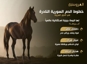 خطوط الدم السورية النادرة في الخيل العربية