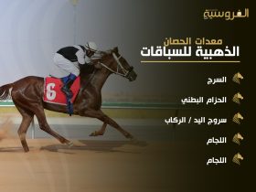 معدات الحصان للسباق