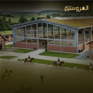 تحظى الفروسية بمكانة خاصة في مناطق البادية والجزيرة السورية