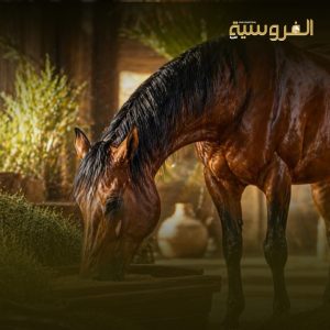 شراكة إماراتية – أوروبية لتطوير أعلاف الخيول والإبل