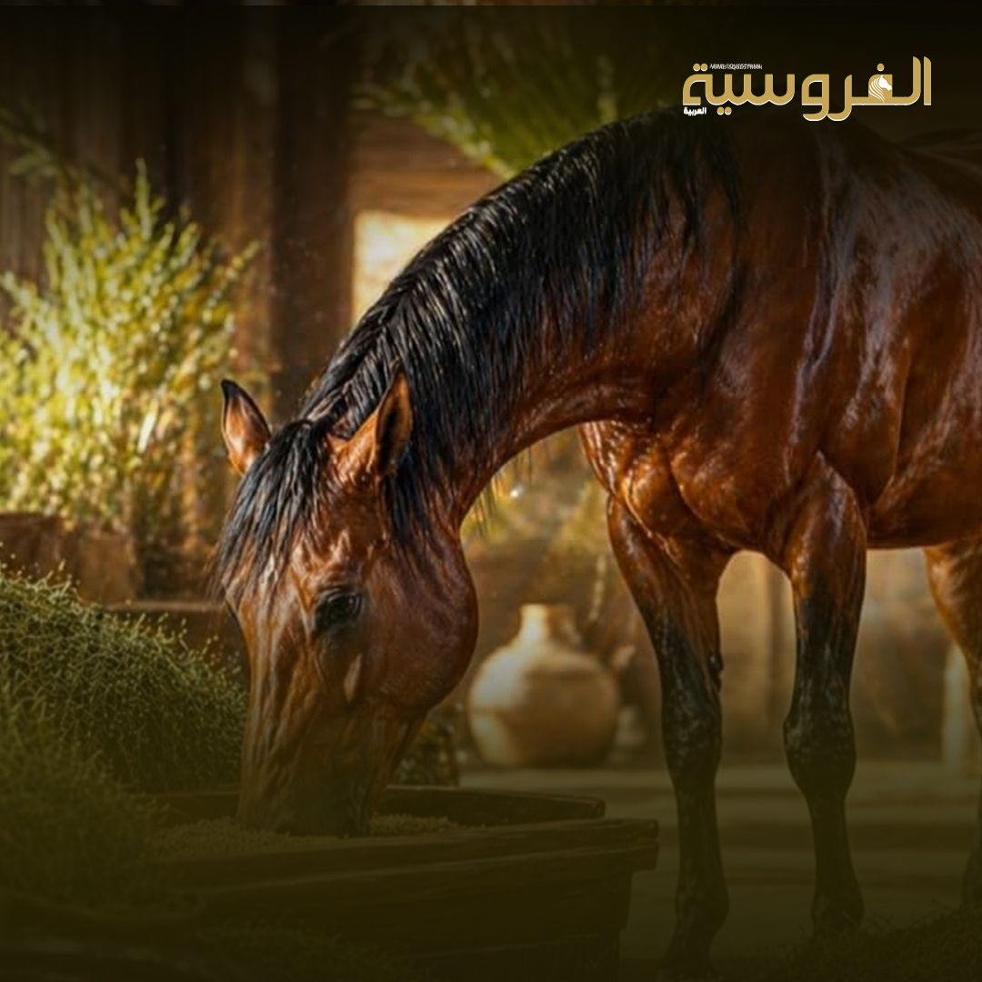 القبض على شبكة لسرقة الخيول