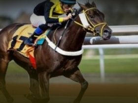 سباقات الخيل