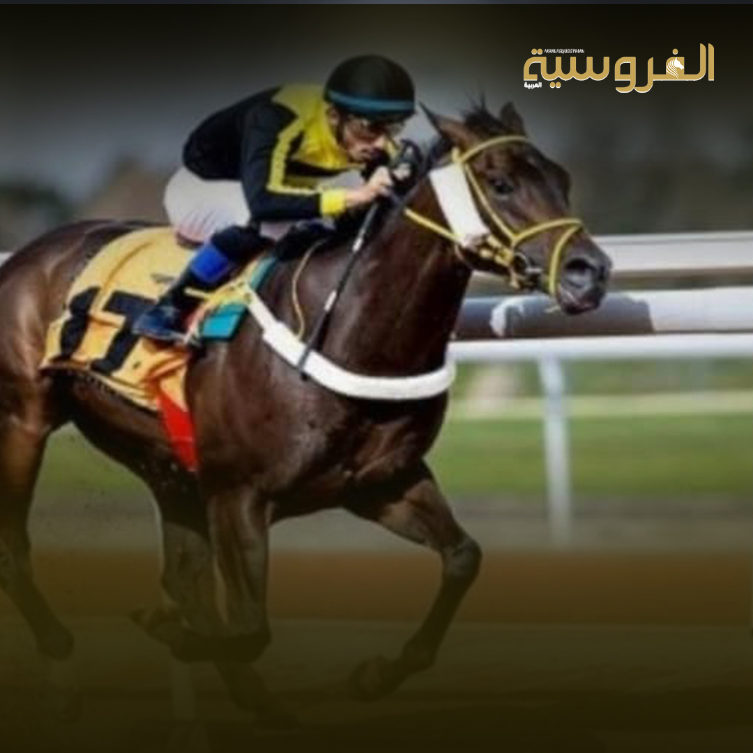 سباقات الخيل