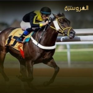 الدورة الخليجية تمثل فرصة مهمة لقياس جاهزية الفرسان