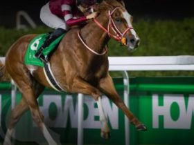 نادي سباقات الخيل يطلق الموسم الجديد من موسم الطائف