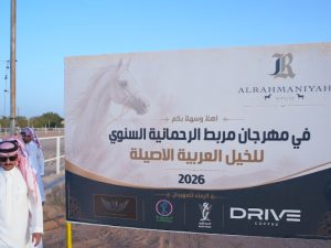 مهرجان مرط الحمانية السنوي للخيل العربية الأصيلة