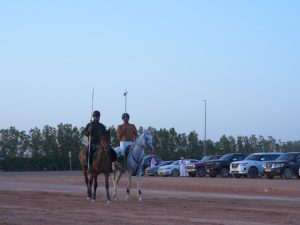 يعد المهرجان حدثاً ثقافياً واقتصادياً يعزز مكانة الخيل العربية في السوق المحلي والدولي