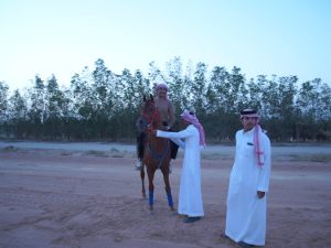 سهم المهرجان في تعزيز الروابط بين المهتمين بهذا المجال