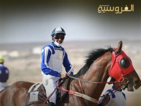 الاتحاد الدولي للفروسية يطلق دراسة عالمية لتقييم سترات السلامة للفرسان