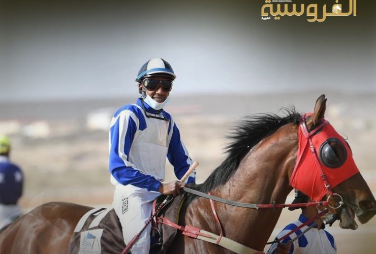 الاتحاد الدولي للفروسية يطلق دراسة عالمية لتقييم سترات السلامة للفرسان