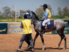 في سوريا ارتبطت تربية الخيل العربية بتاريخ طويل من الاهتمام بالسلالات المحلية