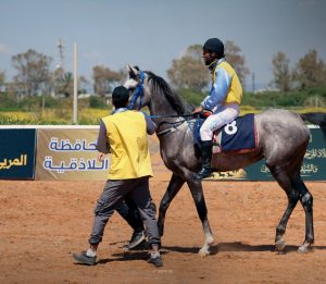 في سوريا ارتبطت تربية الخيل العربية بتاريخ طويل من الاهتمام بالسلالات المحلية