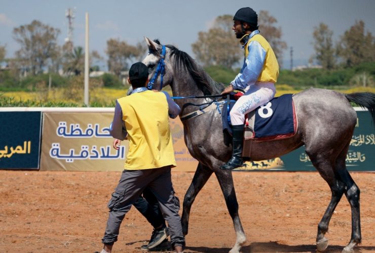 في سوريا ارتبطت تربية الخيل العربية بتاريخ طويل من الاهتمام بالسلالات المحلية