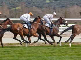 استمرار الحضور الإماراتي في سباقات الخيل الأوروبية