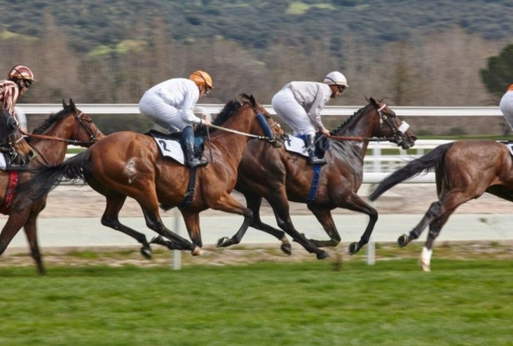 استمرار الحضور الإماراتي في سباقات الخيل الأوروبية