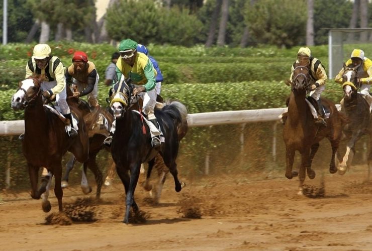 سباقات الخيل في لبنان