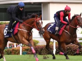 سباقات الخيل العالمية
