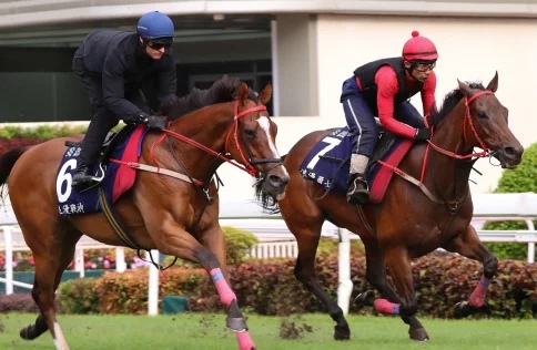 سباقات الخيل العالمية