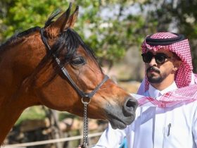 الإسطبل الأخضر السعودي
