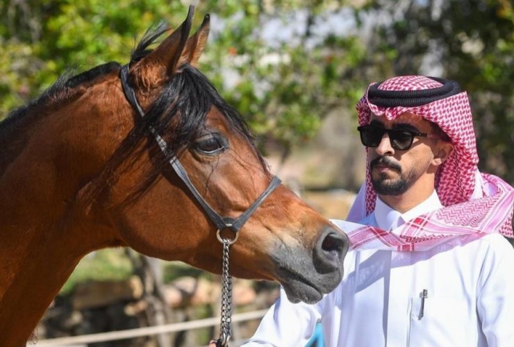 الإسطبل الأخضر السعودي