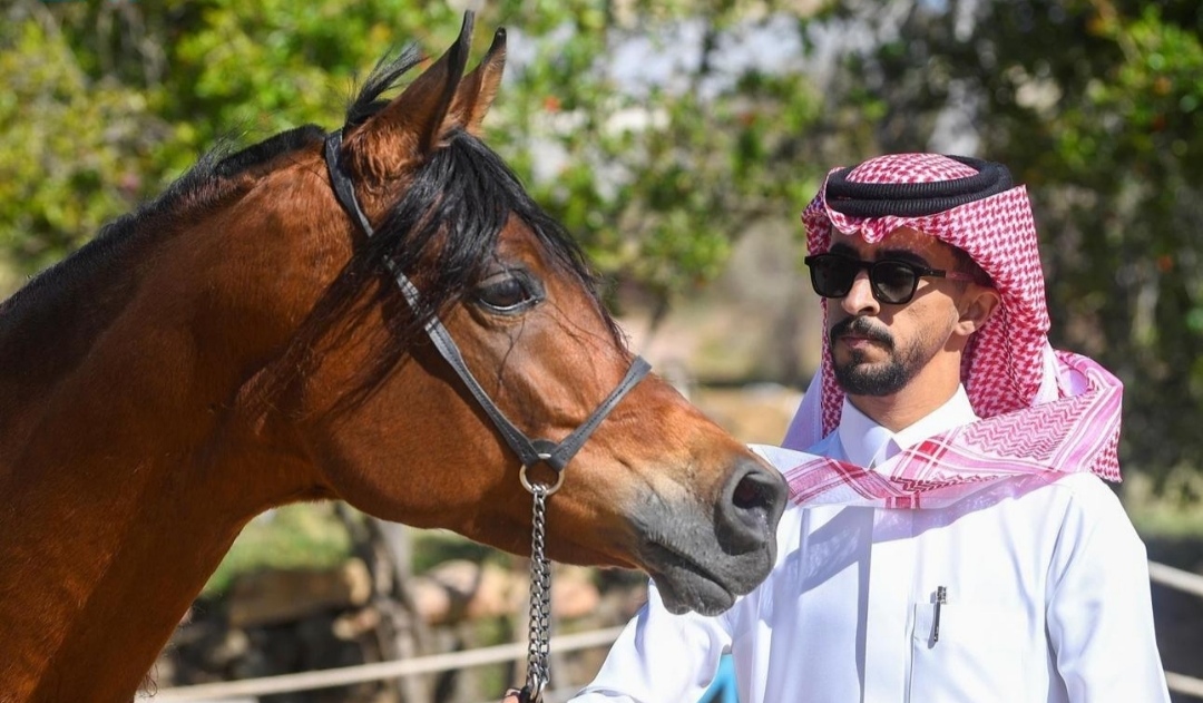 الإسطبل الأخضر السعودي