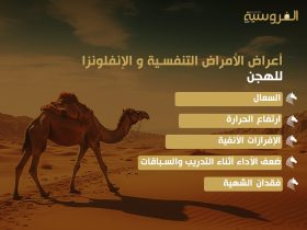 الأمراض التنفسية لدى الهجن : خطر خفي يهدد صحة المطايا وأدائها في السباقات