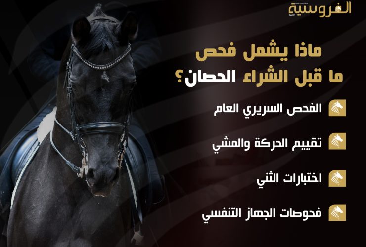 فحص ما قبل شراء الخيل.. الخطوة الذكية لحماية استثمارك وضمان الاختيار المثالي