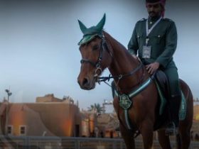 من المضمار إلى الإنتاج ..السعودية تحمي إرث الخيل الأصيل