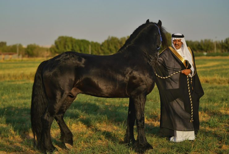 عبد الرحمن بن عبدالله مع الخيل