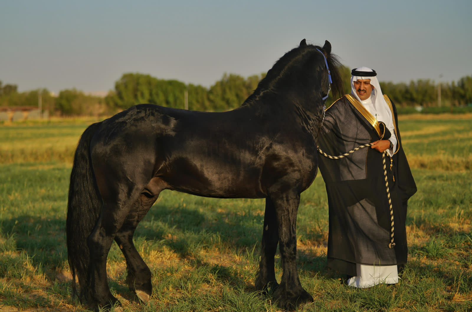 عبد الرحمن بن عبدالله مع الخيل