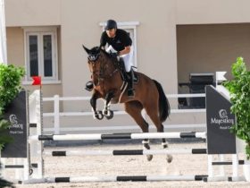 منافسات القفز الصيفية في الإمارات