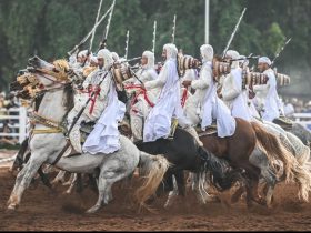 الدورة 25 للتبوريدة