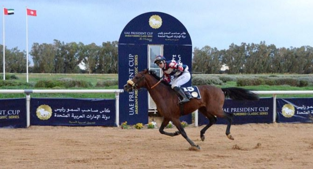 مضمار سان سيرو في مدينة ميلانو