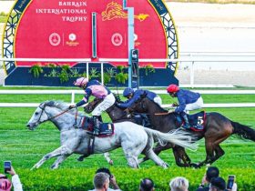 سباقات الخيل في البحرين