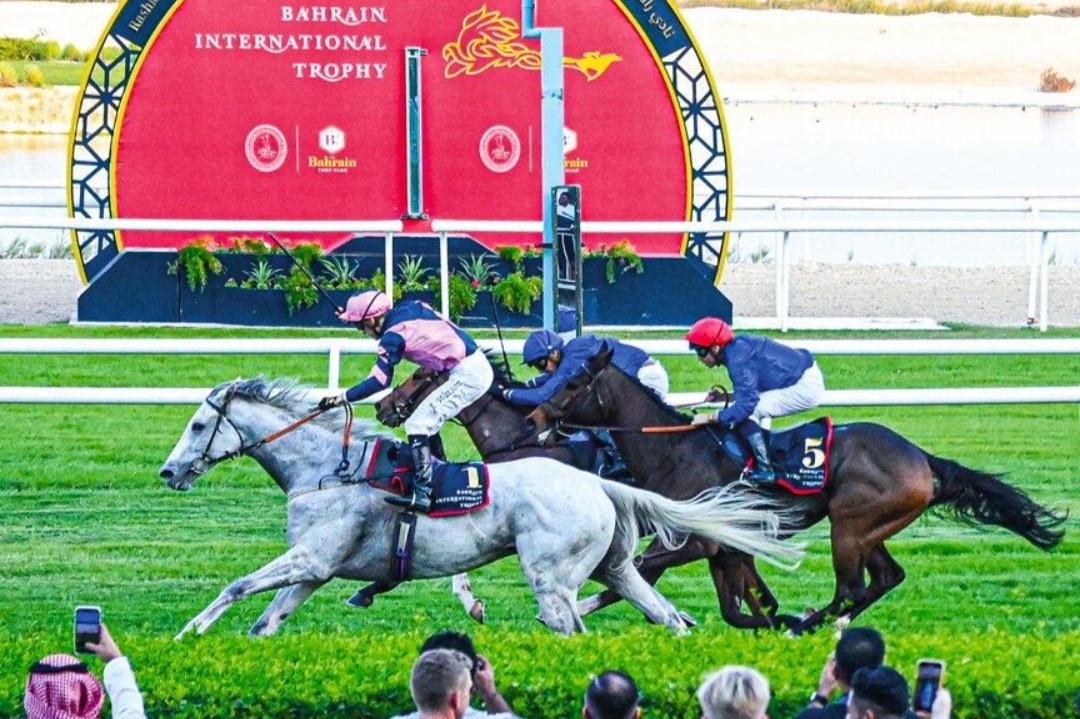 سباقات الخيل في البحرين
