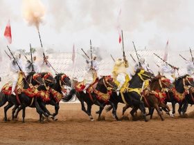 التبوريدة جزء من التراث العالمي