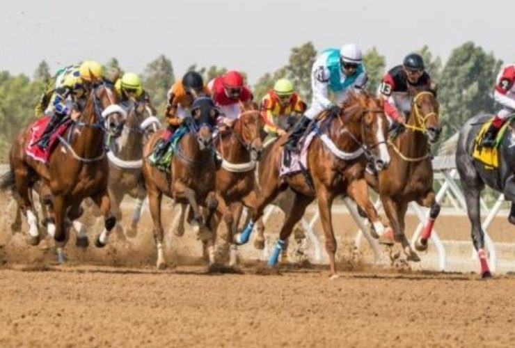 كيف ساعد تخطيط كهربائي للخيل في المنافسة