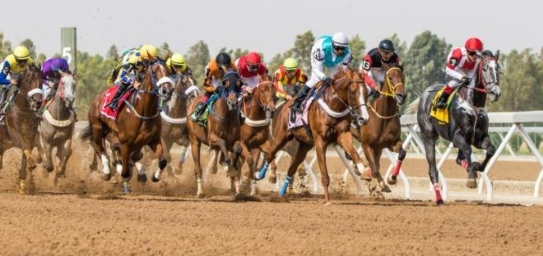 كيف ساعد تخطيط كهربائي للخيل في المنافسة