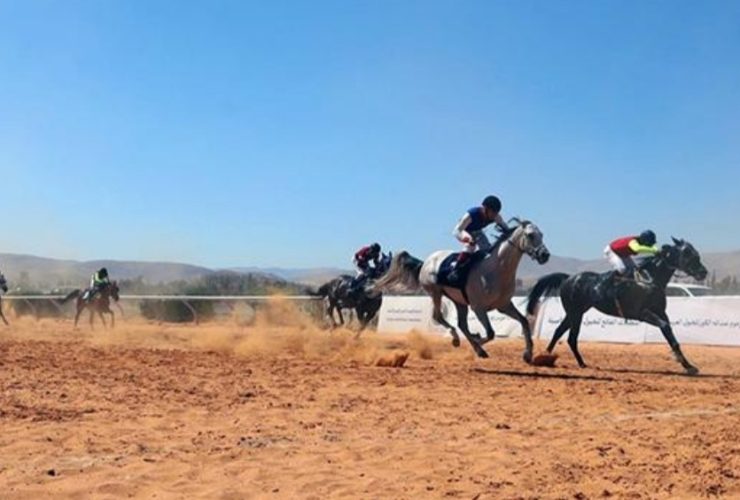 سباقات الخيل في سوريا
