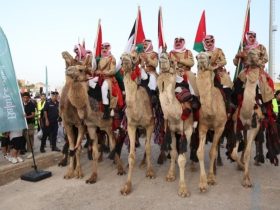 مهرجان وادي عربة للهجن